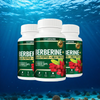Berberine Starter Pack (3 Month Supply)