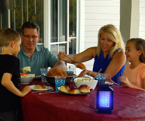 Lamp Zapper 2x1 a 49,99€