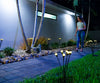 Starlyf Glow Lights 2x1 a 248 LEU