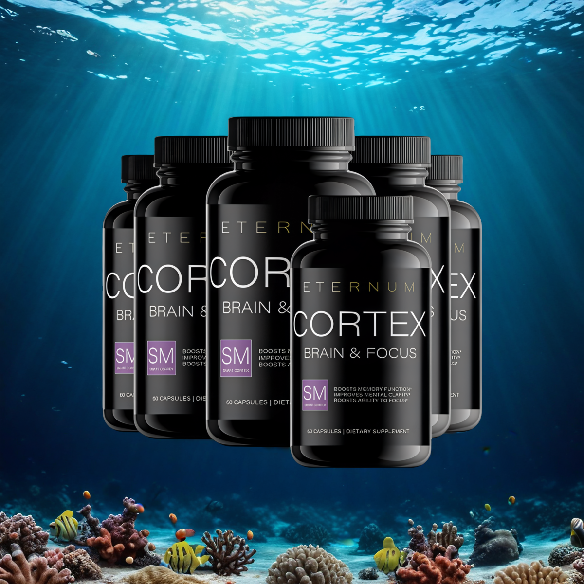 Eternum Cortex (6 bottles - 60 capsules each)