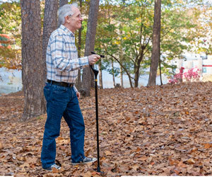 Wellpro Walking Stick a 49,99€